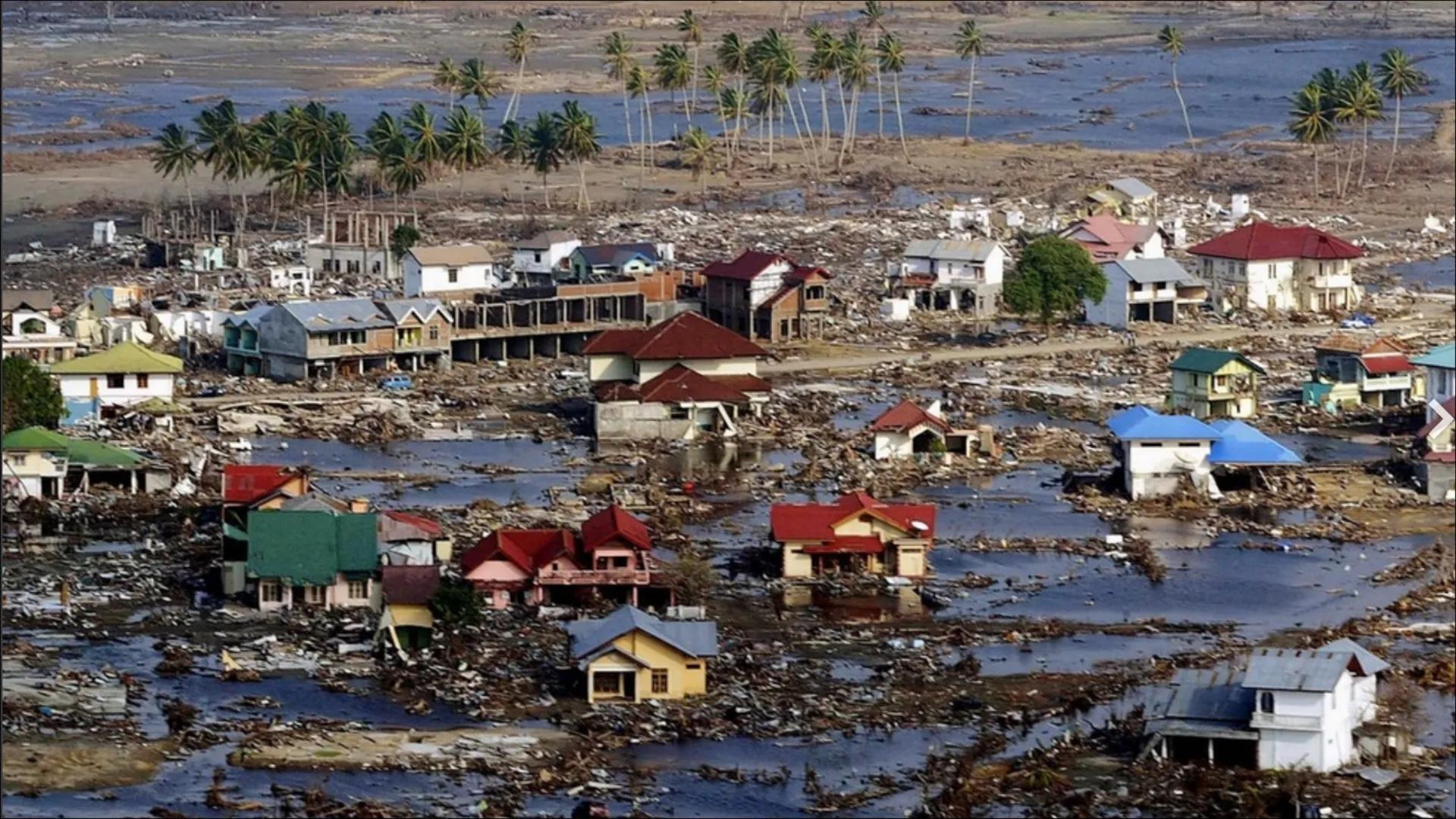 TSUNAMI O
O
-
•
INHALTSVERZEICHNIS
Was ist ein Tsunami?
Wie entstehen Tsunamis?
Vor dem Erdbeben
Während des Erdbebens
Nach dem Erdbeben
Wo 