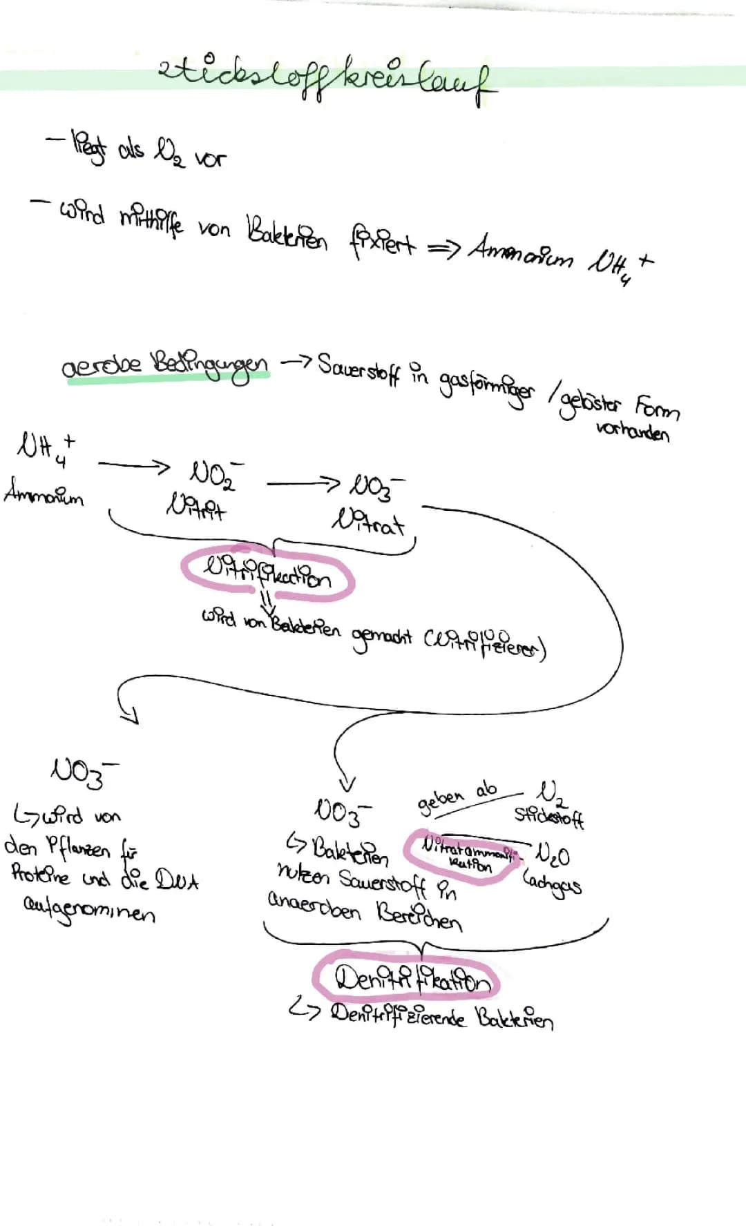 Ökosystem  2 