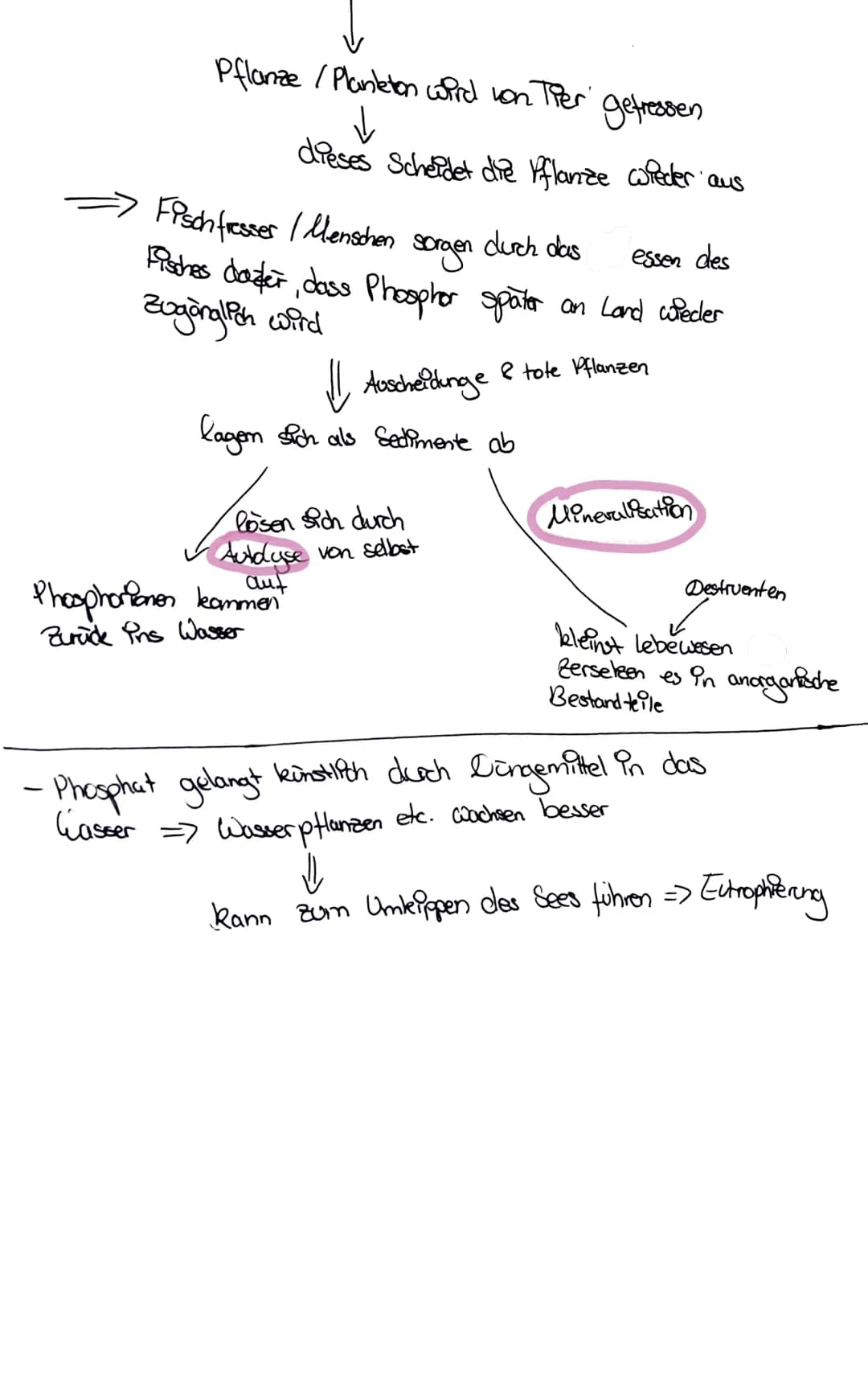 stickstoff kreislauf
- Regt als 0₂ vor
- wird mithilfe von Bakterien fixiert => Ammonium NH, +
aerobe Bedingungen
WH₂+
Ammonium
No₂
Vitrit
-