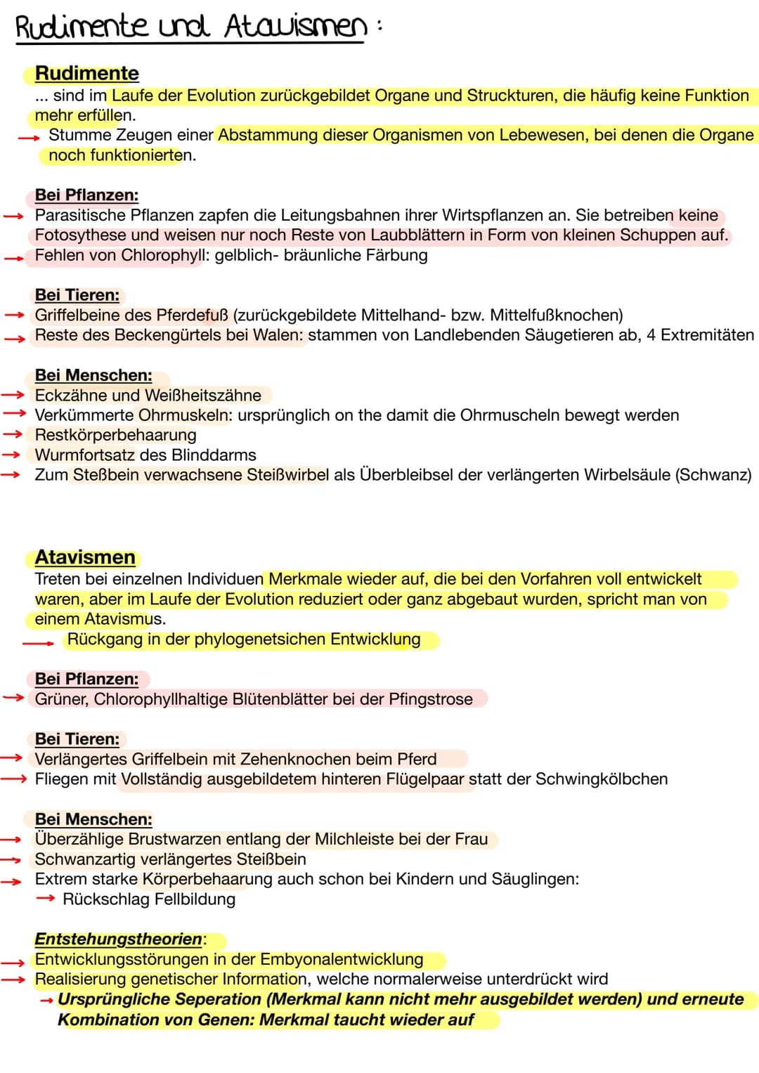 Rudimente und Atavismen:
Rudimente
sind im Laufe der Evolution zurückgebildet Organe und Struckturen, die häufig keine Funktion
mehr erfülle