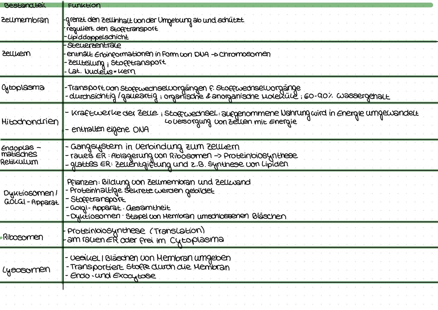 a) Merkmale des Lebendigem
Organisationsformen (Herz, Arterien...)
Homöostase (Schließzellen)
-Energienutzung
-Fortpflanzung
-Wachstum & Dif