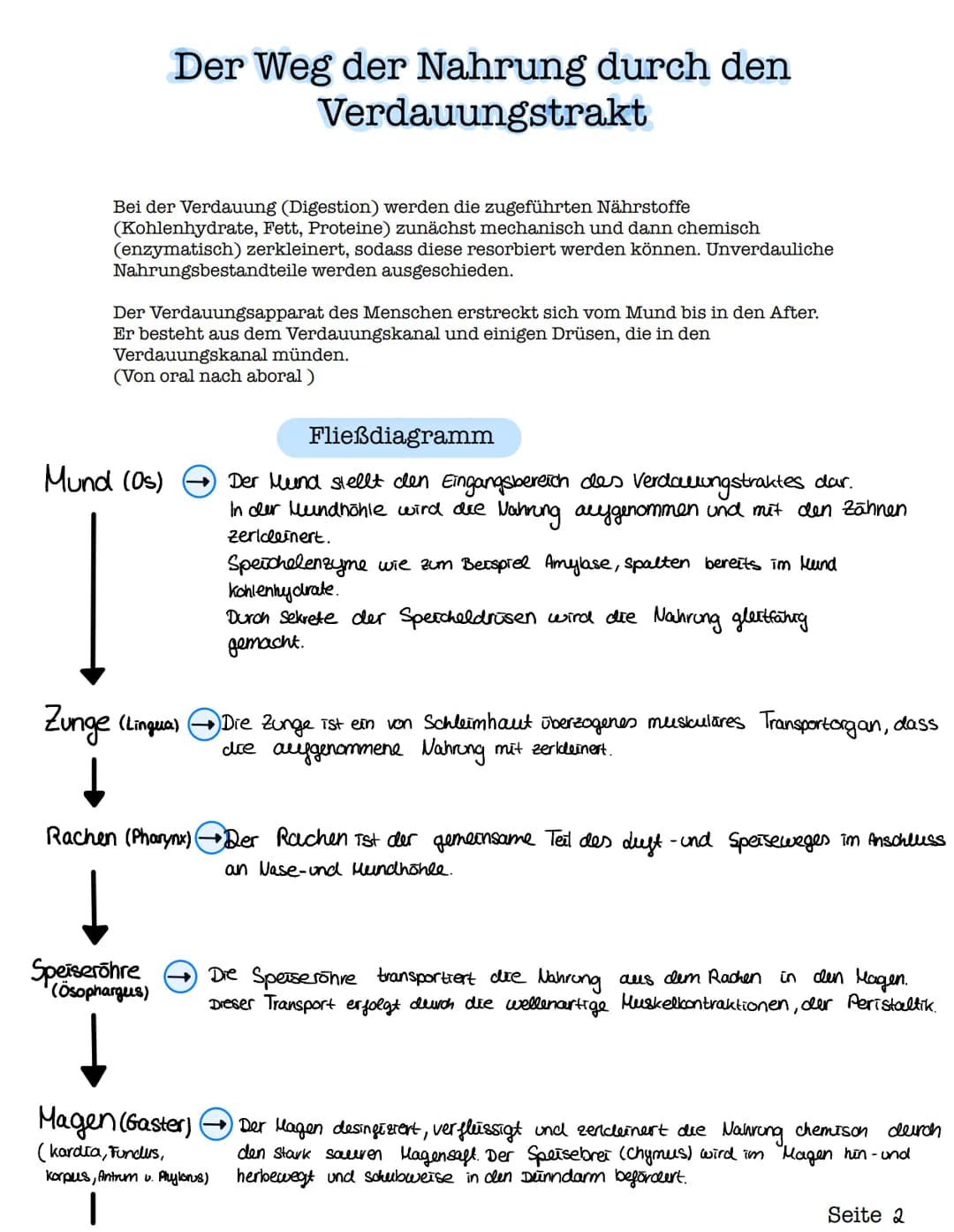 Verdauungsorgane des
Menschen
(Os) Mund
(Hepar) Leber
(vesica fellea) Gallenblase
Zwölffingerdarm.
(Duodenum)
-> erster Teil des Dünndarms)
