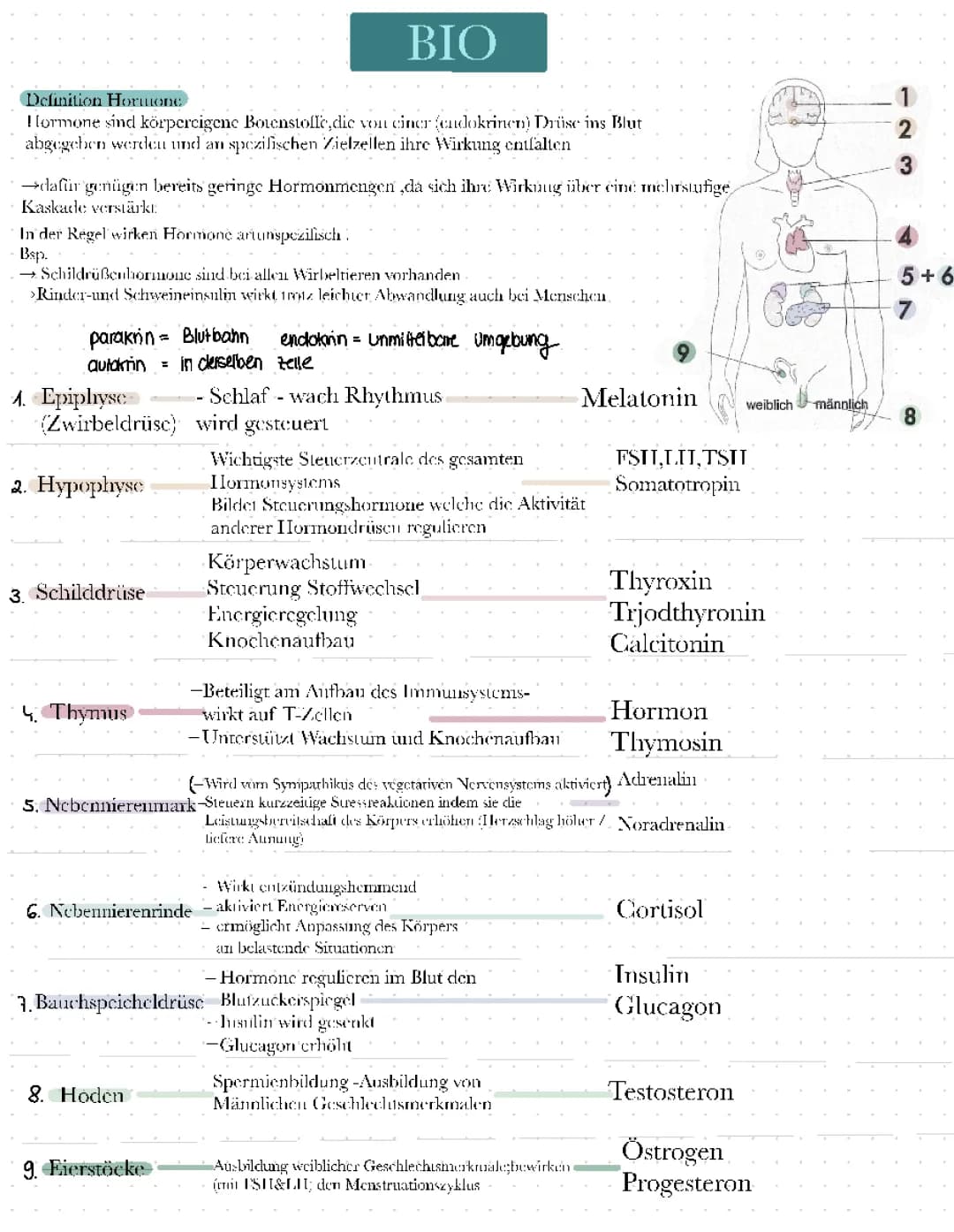 Hormone