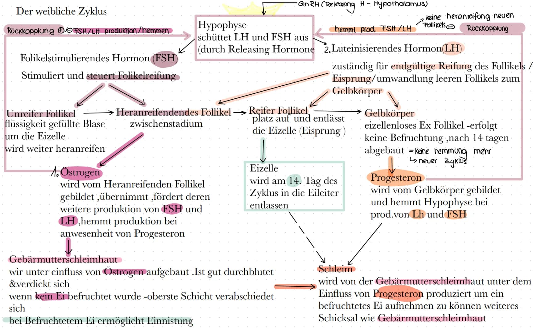 BIO
Definition Hormone
Hormone sind körpereigene Botenstoffe, die von einer (endokrinen) Drüse ins Blut
abgegeben werden und an spezifischen