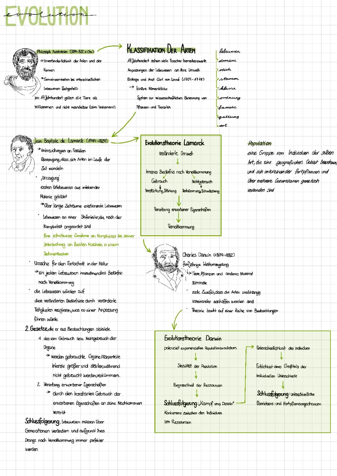 Lamarck und Darwin: Vergleich, Evolutionstheorie und Arbeitsblätter für Kids