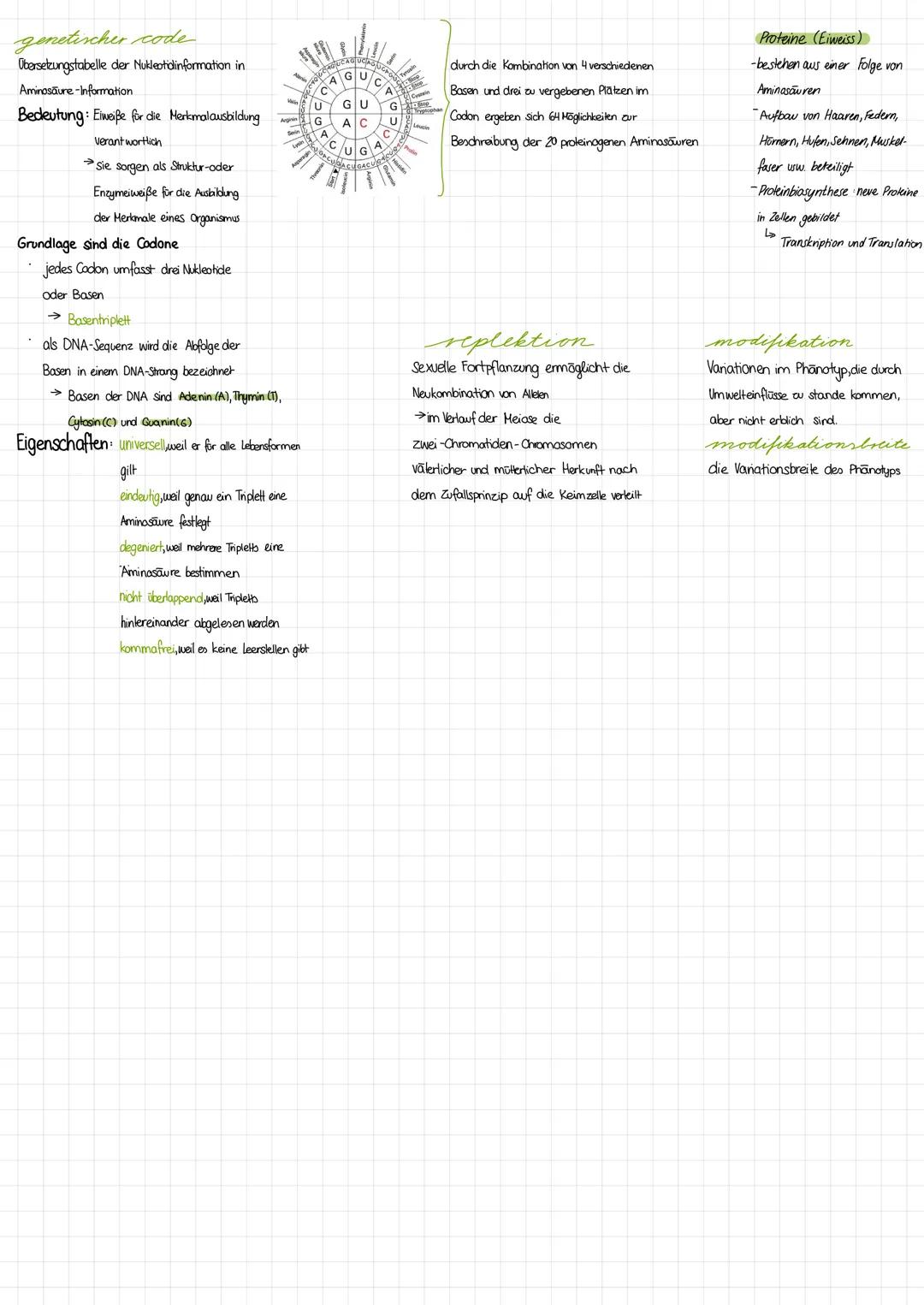 EVOLUTION
Philosoph Aristoteles (384-322 v. Chr.)
→ Unveranderlichkeit der Arten und der
Formen
→Gemeinsamkeiten bei unterschiedlichen
Lebew