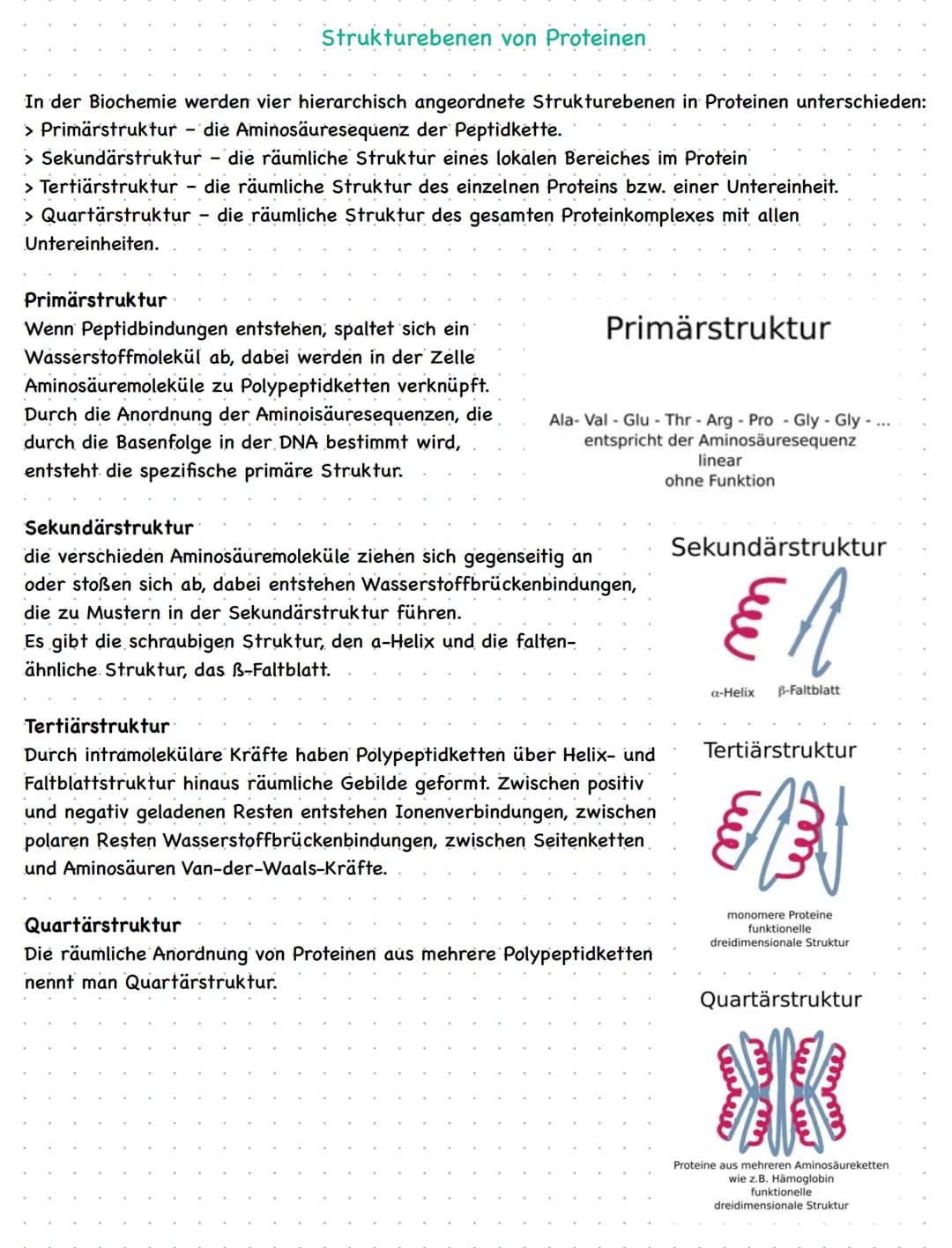Enzymatík
Klausur Checkliste Biologie-Klausur / Mai 2021
Inhalte der Klausur:
Enzymen als Biokatalysatoren
Bau von Enzymen, Kenntnisse von d