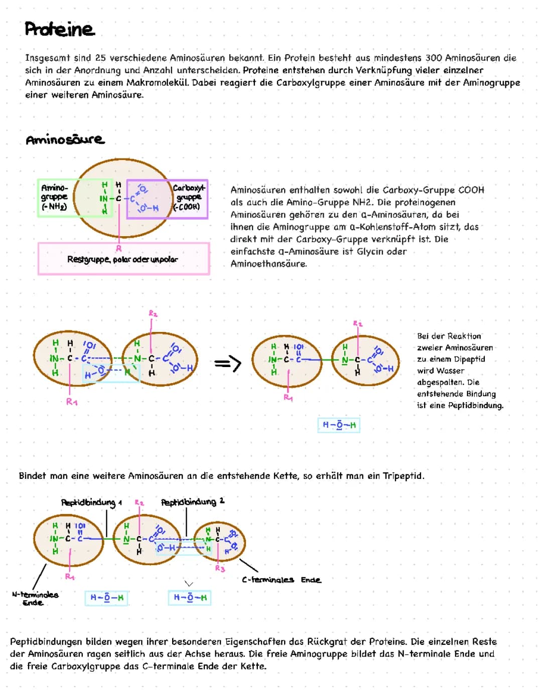 Enzyme 