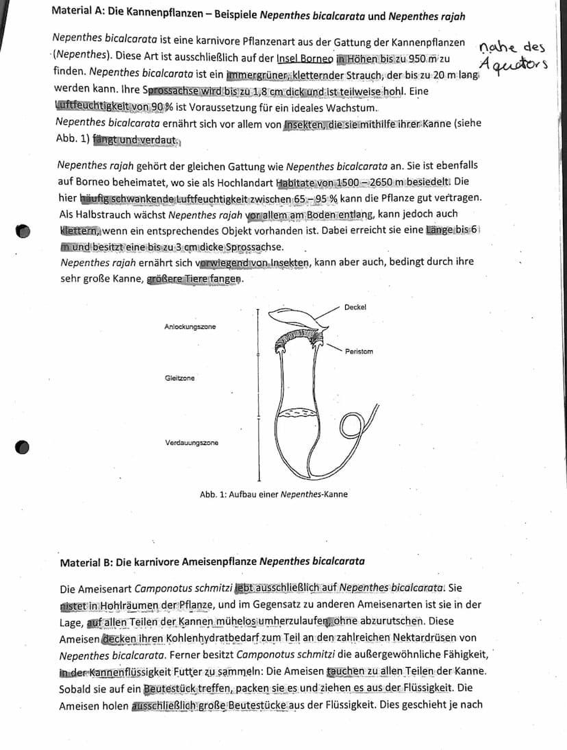 Aufgabenstellung:
1. Vergleichen Sie die Kennzeichen der Kannenpflanzen Nepenthes bicalcarata und
Nepenthes rajah sowie ihre ökologischen Ni