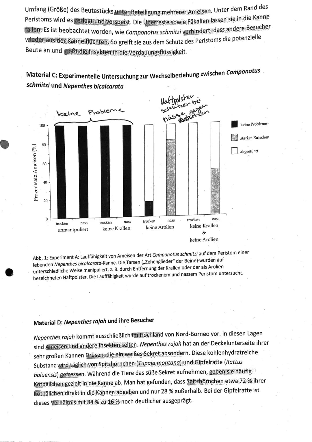 Aufgabenstellung:
1. Vergleichen Sie die Kennzeichen der Kannenpflanzen Nepenthes bicalcarata und
Nepenthes rajah sowie ihre ökologischen Ni
