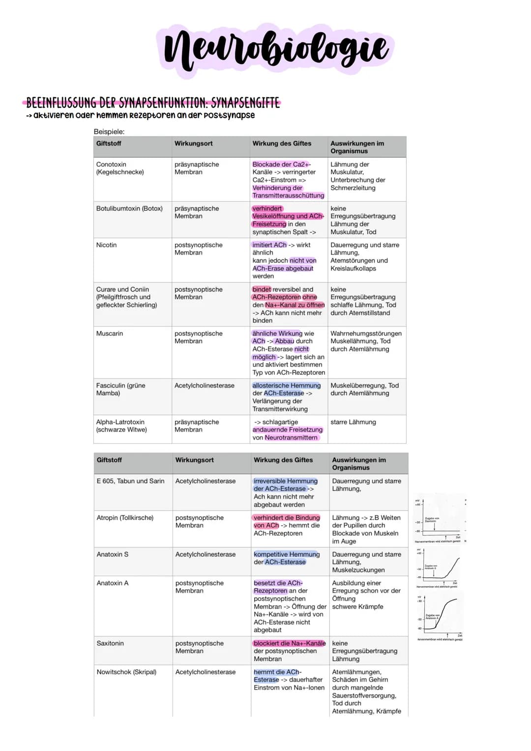Biologie Abitur
2023 Neurobiologie
Bau und Funktion der Nervenzelle/Neuron
-> verantwortlich für die wahrnehmung und
weiterleitung von Reize