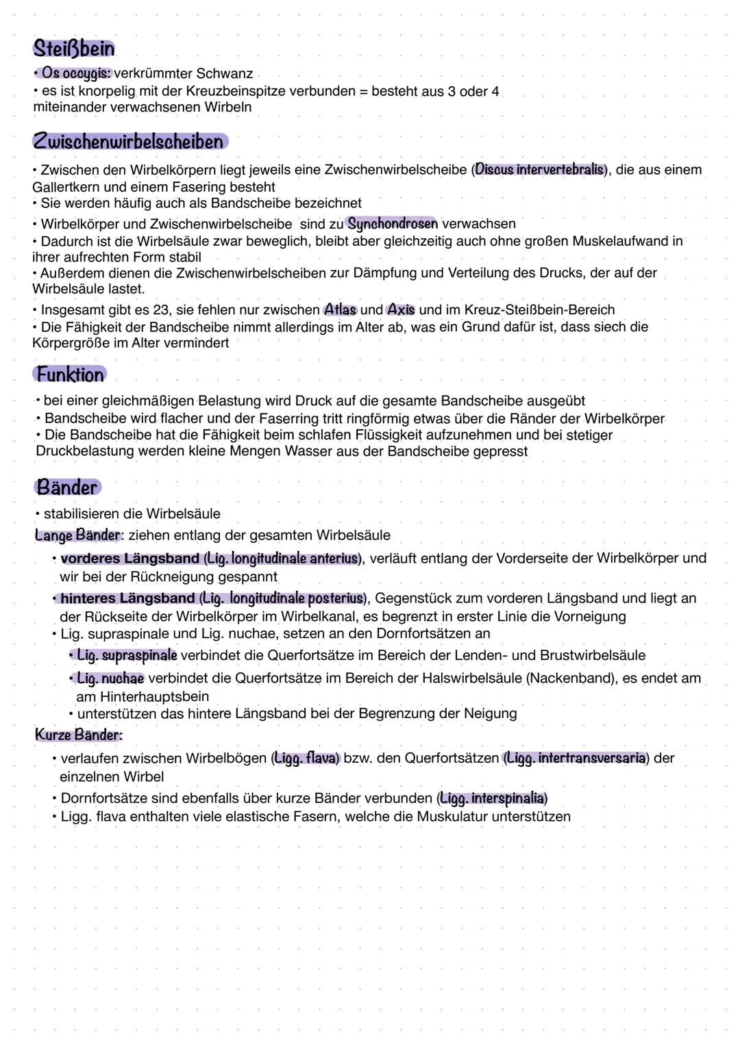 Die Wirbelsäule bildet den zentralen Bestandteil des Achsenskelette im menschlichen Körper. Sie hat eine
Ventralseitig konvexe und konkave K
