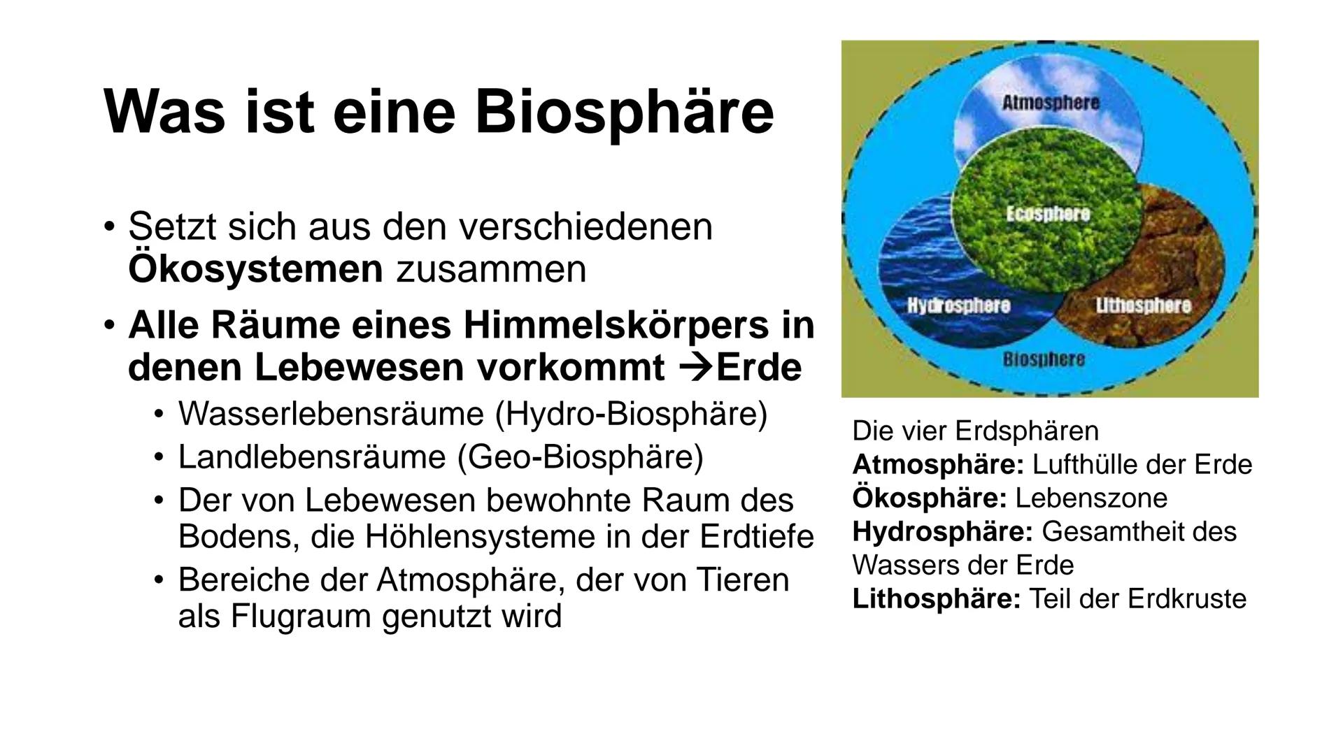 NAN
Kathrin Haug, Biologie
Biosphäre 2 Inhalt
• Was ist eine Biosphäre
• Was ist die Biosphäre 2
Aufbau
• Energiezentrum
Wasserkreislaufsyst