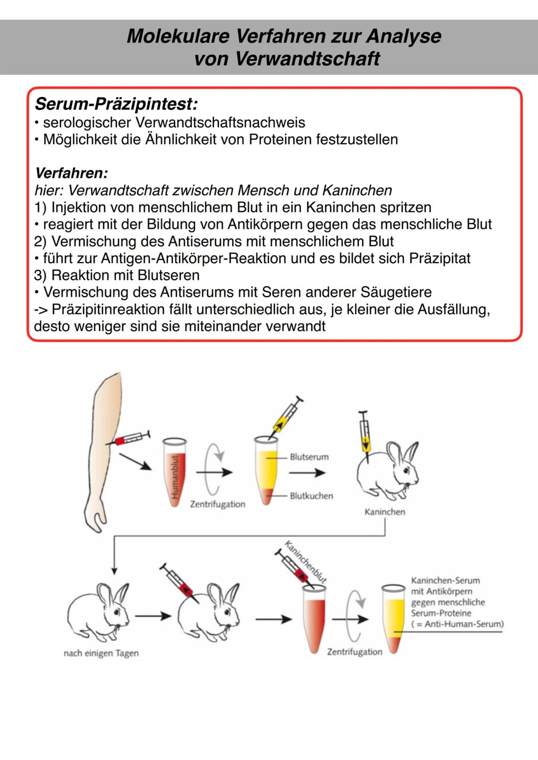 Molekulare Verfahren zur Analyse
von Verwandtschaft
Serum-Präzipintest:
• serologischer Verwandtschaftsnachweis
Möglichkeit die Ähnlichkeit 