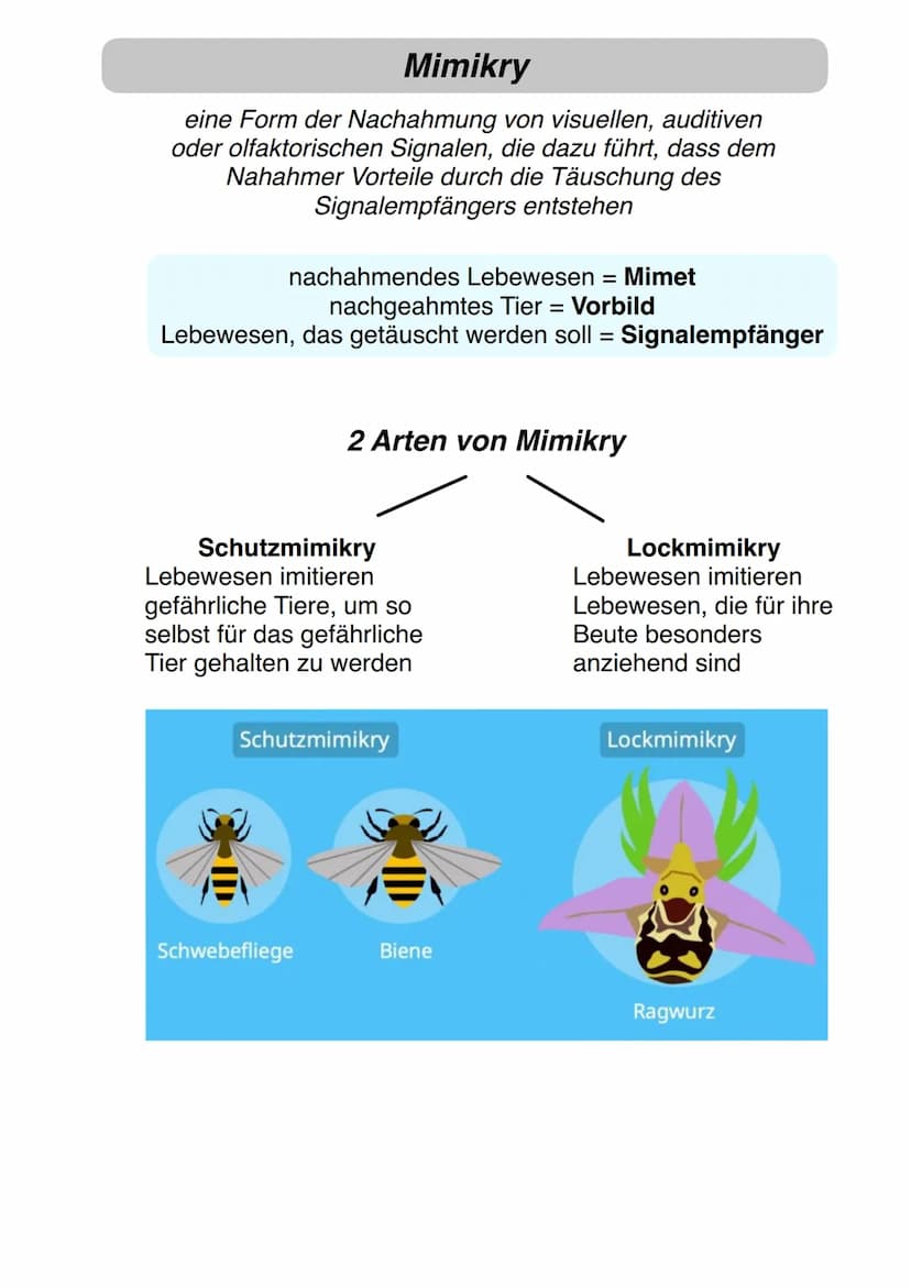 Molekulare Verfahren zur Analyse
von Verwandtschaft
Serum-Präzipintest:
• serologischer Verwandtschaftsnachweis
Möglichkeit die Ähnlichkeit 