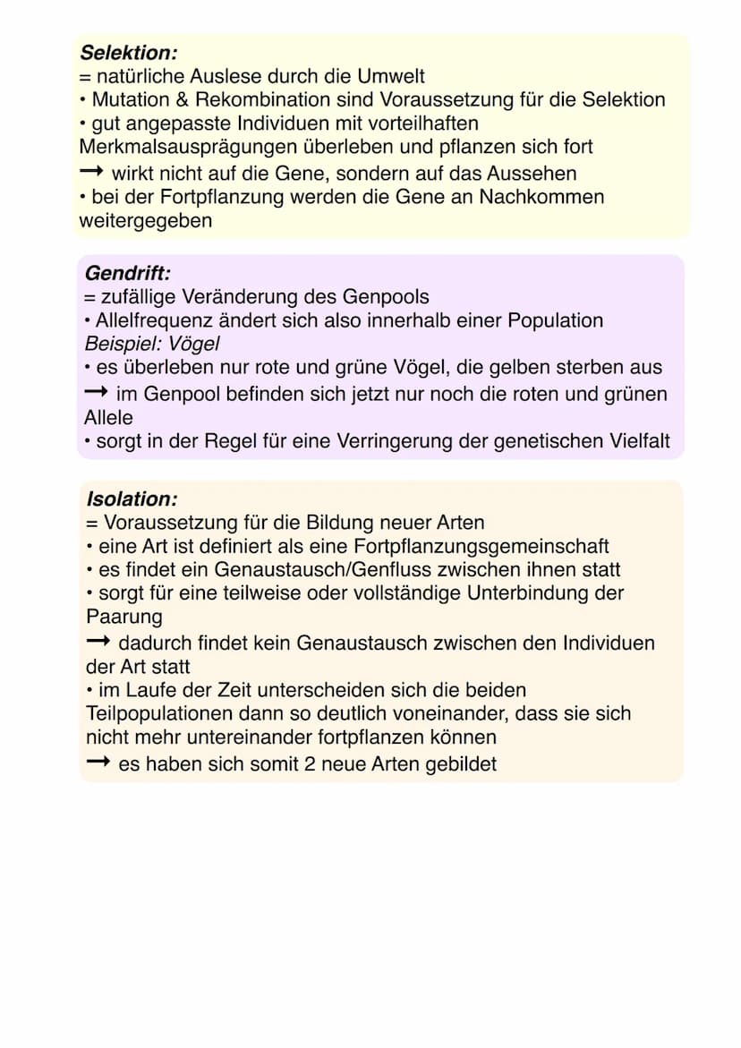 Molekulare Verfahren zur Analyse
von Verwandtschaft
Serum-Präzipintest:
• serologischer Verwandtschaftsnachweis
Möglichkeit die Ähnlichkeit 
