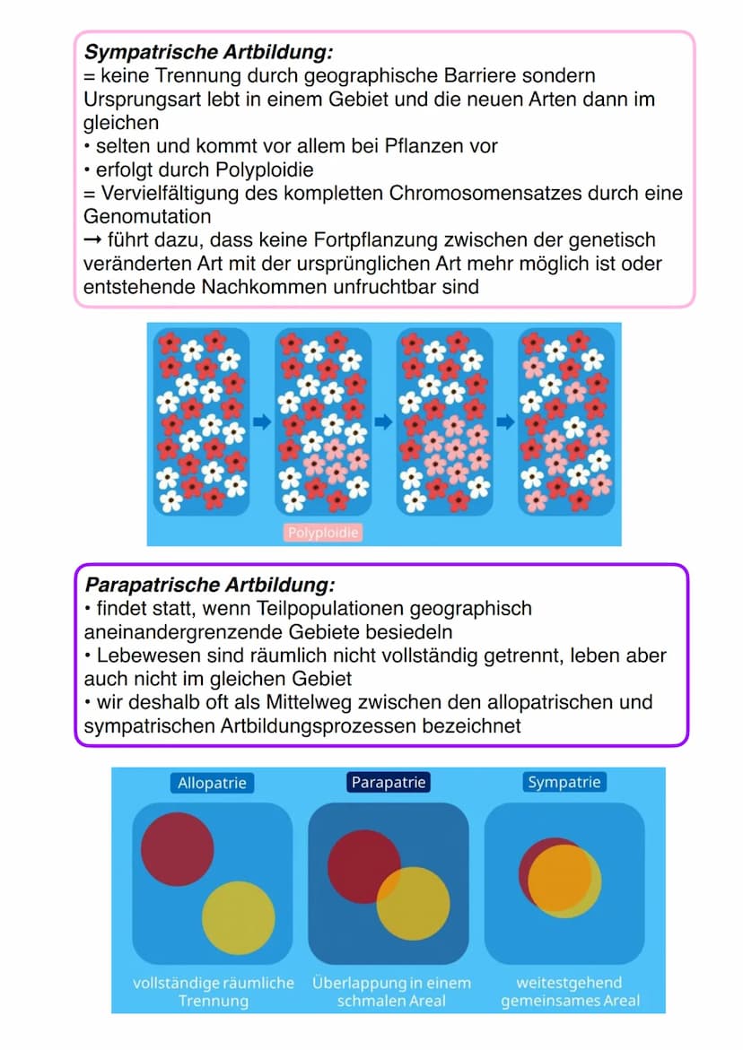 Molekulare Verfahren zur Analyse
von Verwandtschaft
Serum-Präzipintest:
• serologischer Verwandtschaftsnachweis
Möglichkeit die Ähnlichkeit 