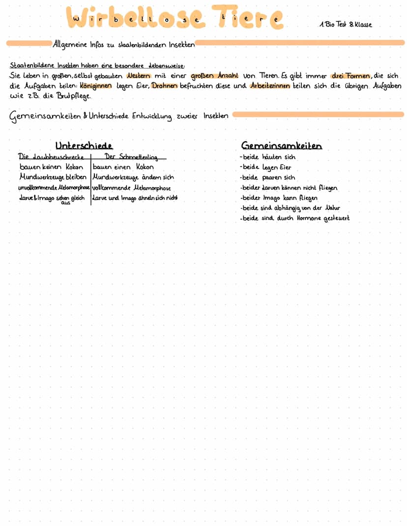 Wirbellose Tiere
Gemeinsamkeiten aller Insekten
Alle Insekten haben....
... keine Knochen
***
einen Chitinpanzer
Flügel und Fühler
sechs Bei