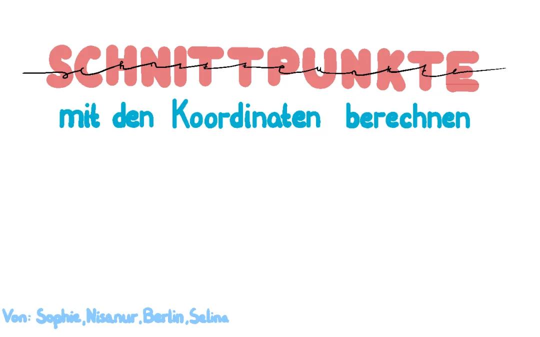 Schnittpunkte mit den Koordinaten berechnen 