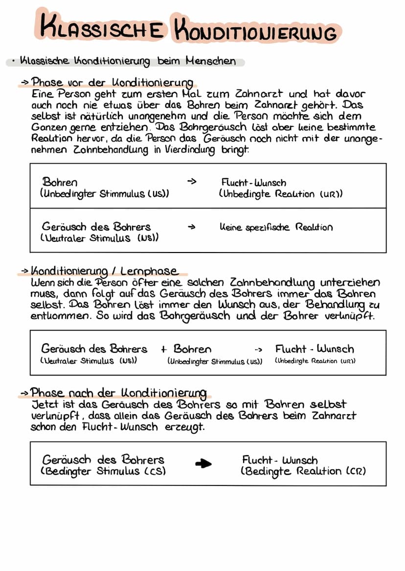 KLASSISCHE KONDITIONIERUNG
Drei Phasen der klassischen Konditionierung
Die klassische Konditionierung Läuft in drei Phase ab:
->>
• Phase vo