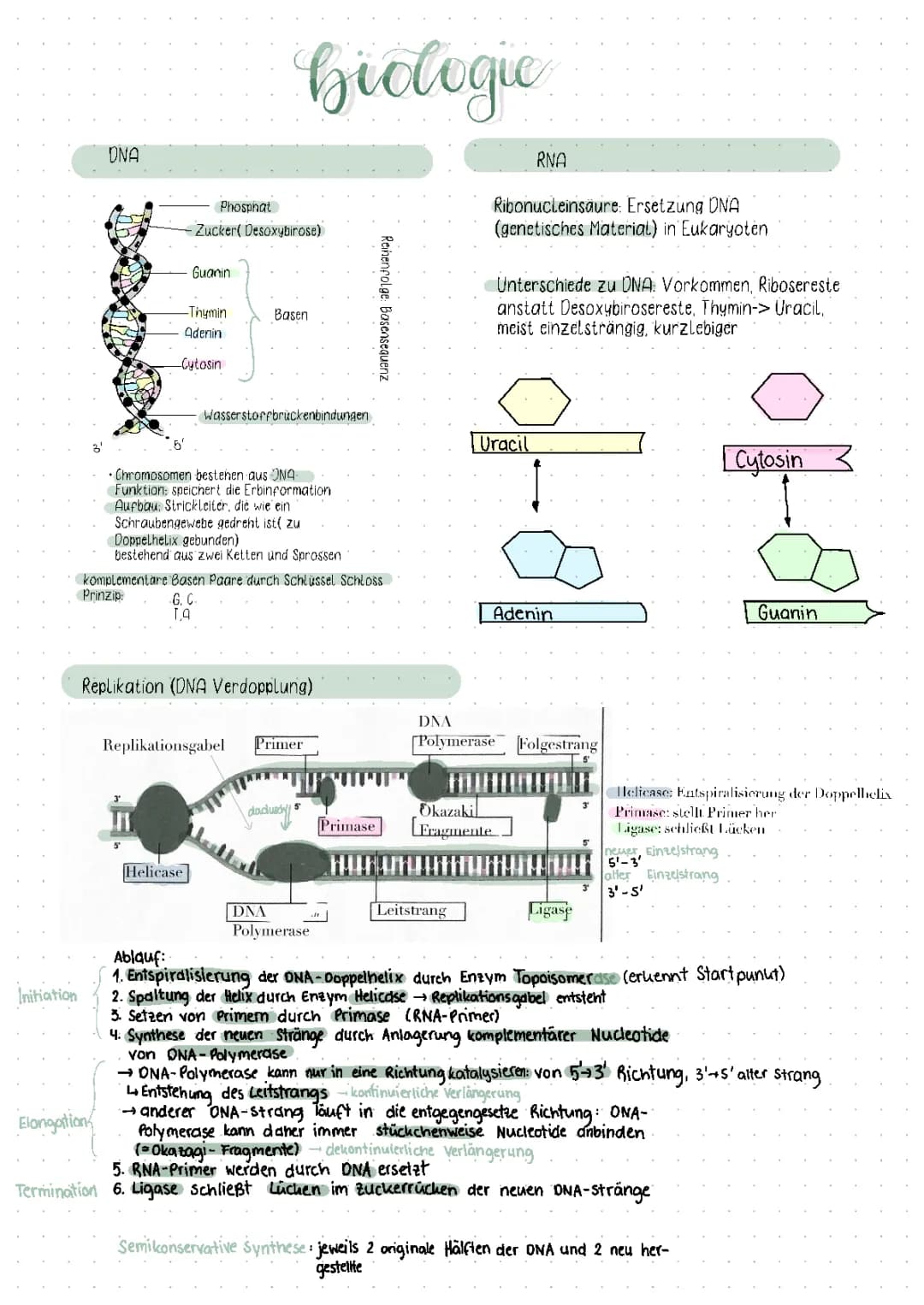 Biologie Genetik