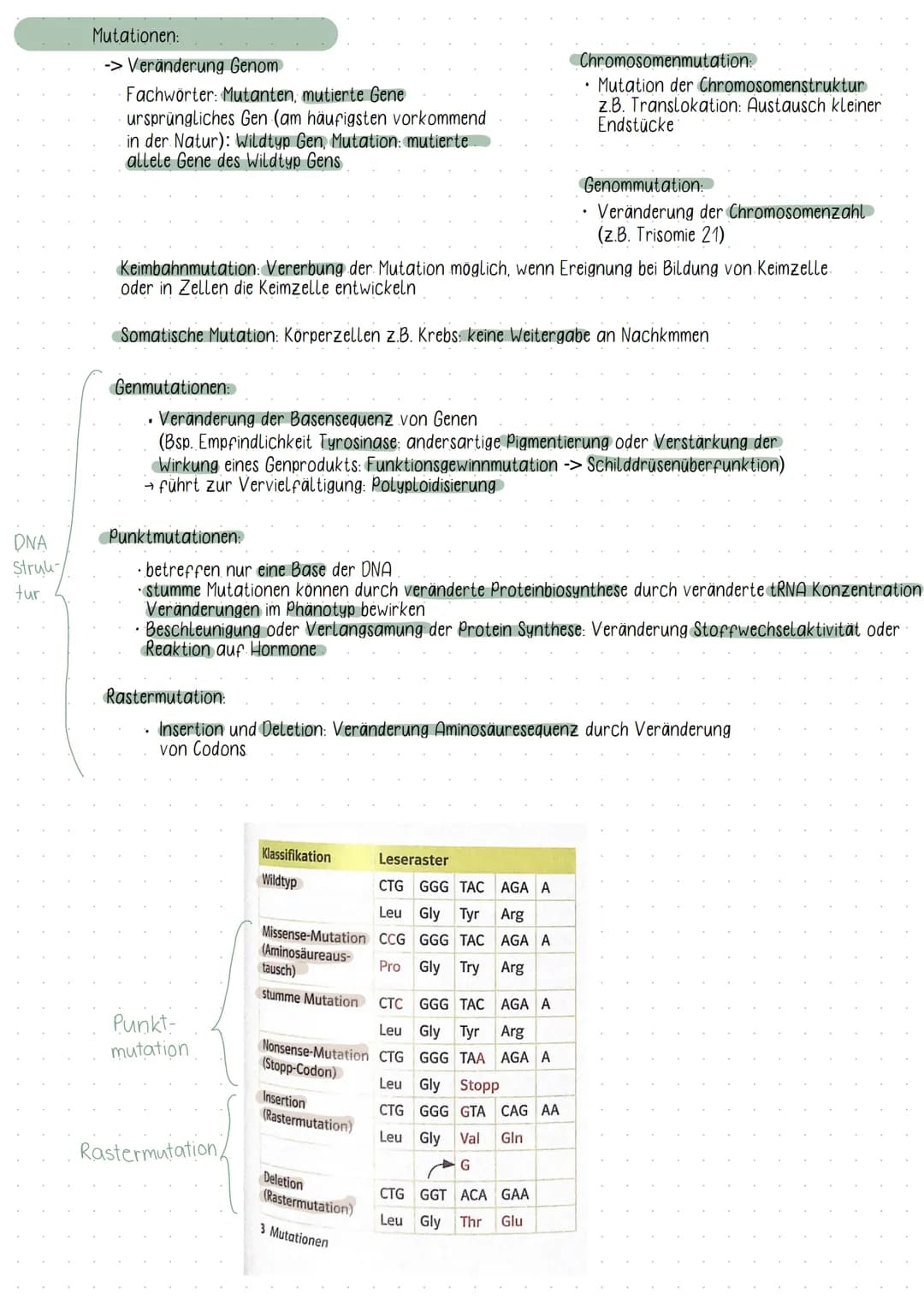 Initiation
DNA
Elongation
Phosphat
Zucker( Desoxybirose)
Guanin
-Thymin
Adenin
-Cytosin
biologic
5°
Basen
• Chromosomen bestehen aus ONA
Fun