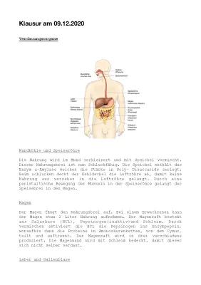 Know Zusammenfassung für Klausur Verdauung  thumbnail