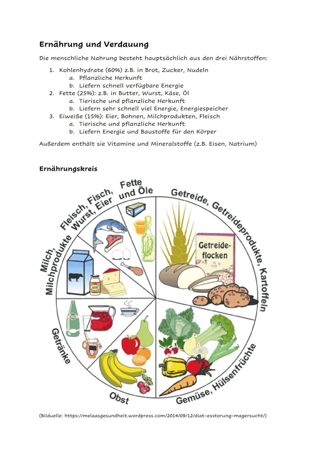 # Ernährung und Verdauung

Die menschliche Nahrung besteht hauptsächlich aus den drei Nährstoffen:

1. Kohlenhydrate (60%) z.B. in Brot, Zuc