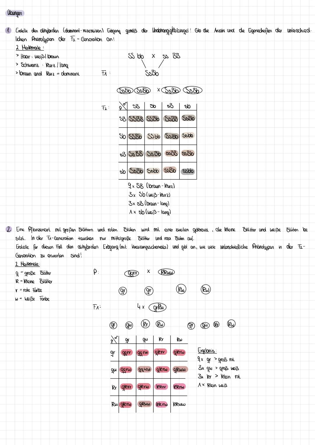 Grundlagen der Vererbung_(Wiederholung)
Erbanalysen:
In der klassischen Genetik unterscheidet man allgemein:
> dominant-rezessive von interm