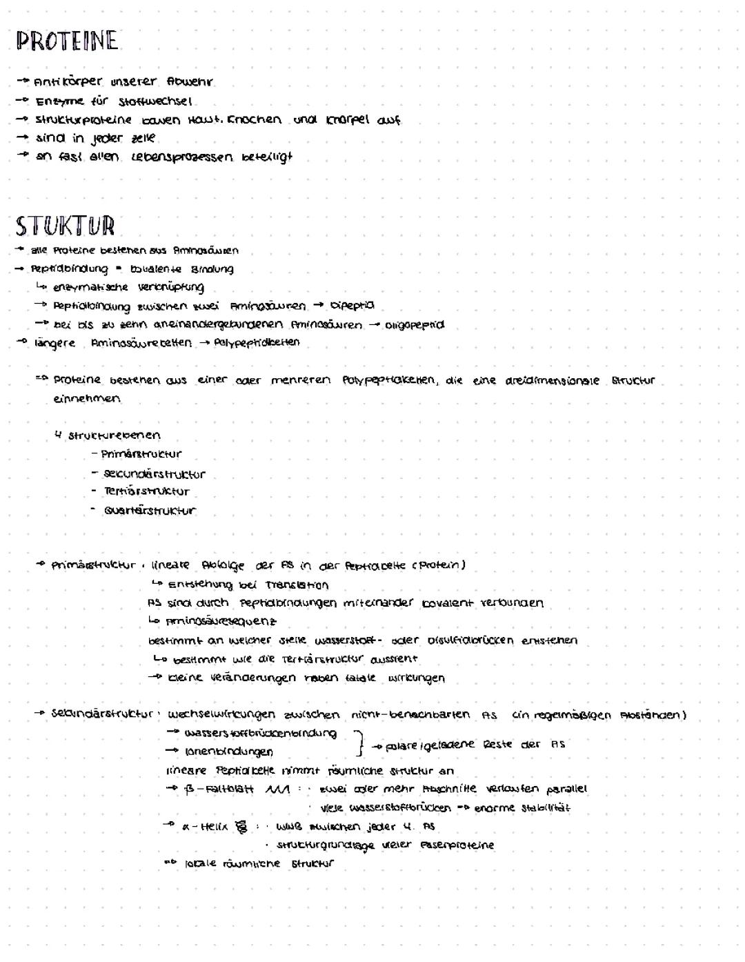 Proteinbiosynthese & Enzyme - Einfach Erklärt für Kinder