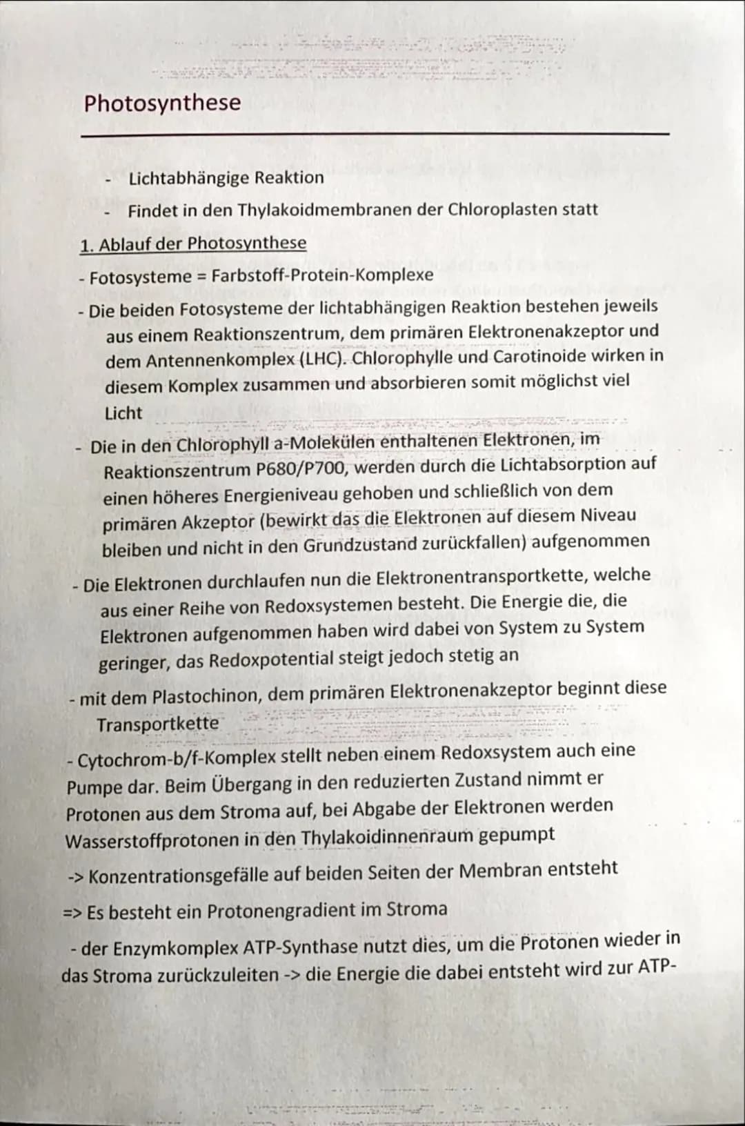 Photosynthese
Lichtabhängige Reaktion
Findet in den Thylakoidmembranen der Chloroplasten statt
1. Ablauf der Photosynthese
- Fotosysteme = F