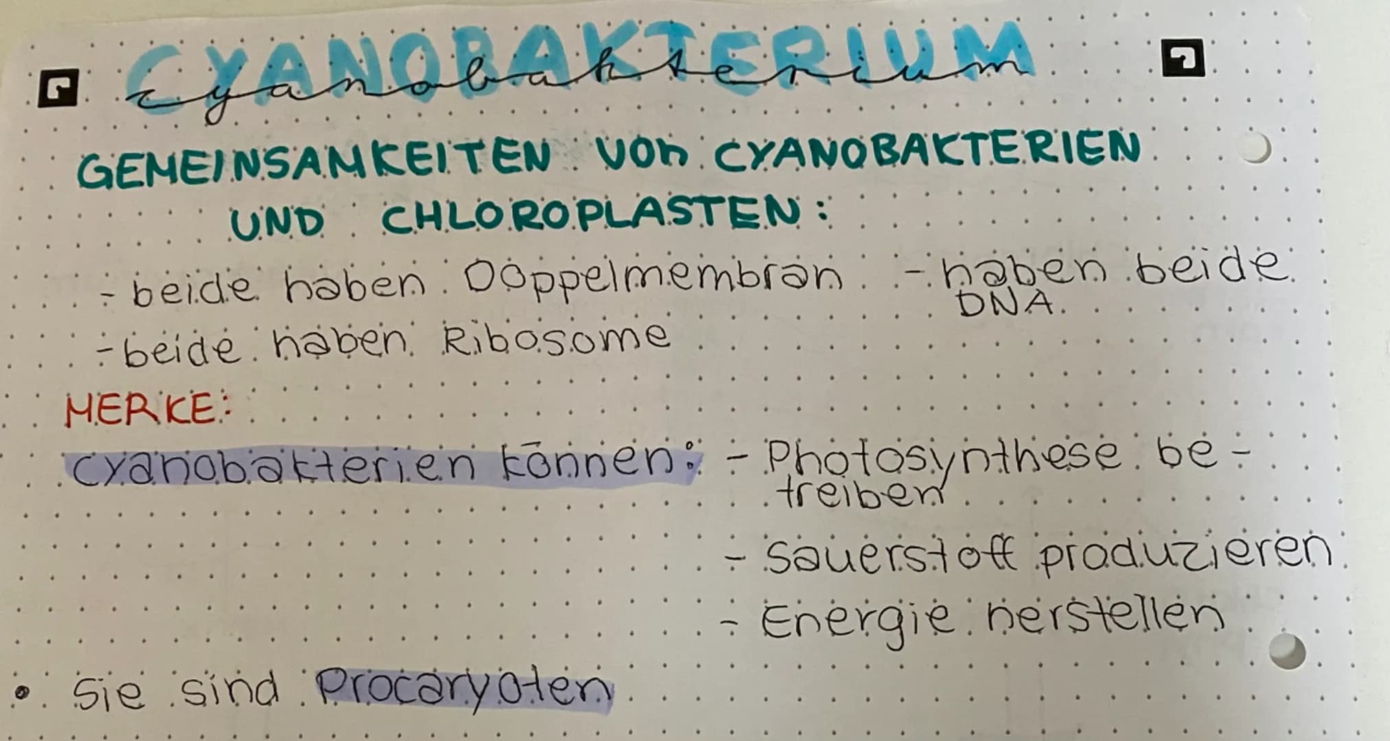 □ mitochomarten
Cloporeasted
Stärke-
korn
Chloro-
Phyl
O
Chloroplast
Stroma
-Doppelmembran
1- Außenmembran.
. 2. Innenmembran.
Proteine
(Enz