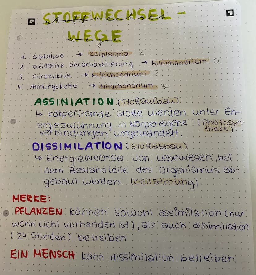 □ mitochomarten
Cloporeasted
Stärke-
korn
Chloro-
Phyl
O
Chloroplast
Stroma
-Doppelmembran
1- Außenmembran.
. 2. Innenmembran.
Proteine
(Enz