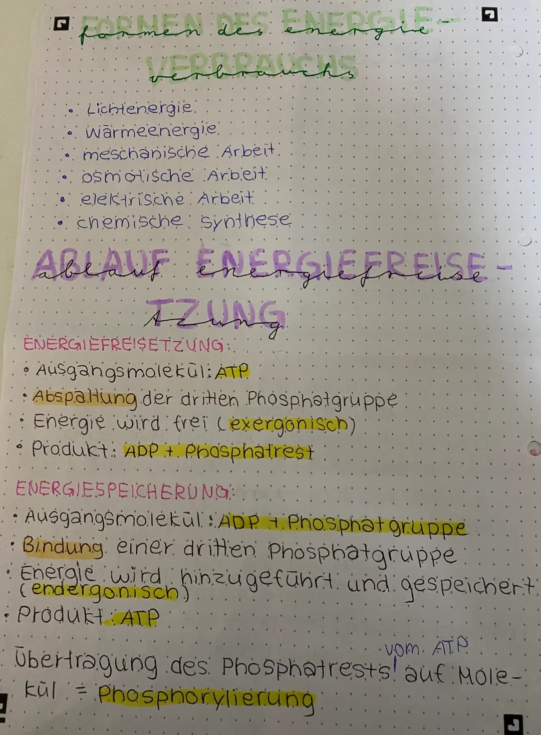 □ mitochomarten
Cloporeasted
Stärke-
korn
Chloro-
Phyl
O
Chloroplast
Stroma
-Doppelmembran
1- Außenmembran.
. 2. Innenmembran.
Proteine
(Enz