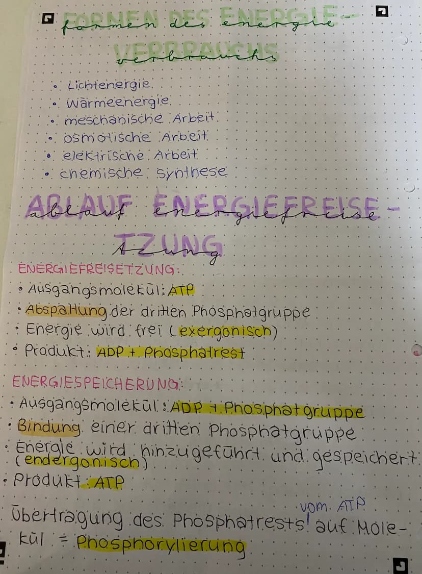 □ mitochomarten
Cloporeasted
Stärke-
korn
Chloro-
Phyl
O
Chloroplast
Stroma
-Doppelmembran
1- Außenmembran.
. 2. Innenmembran.
Proteine
(Enz