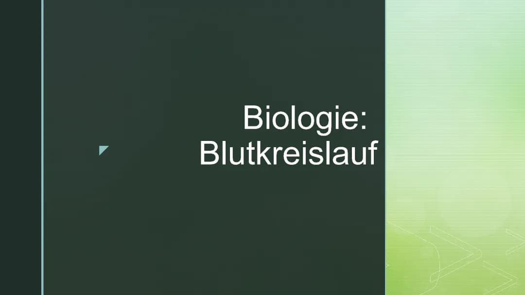 Blutkreislauf