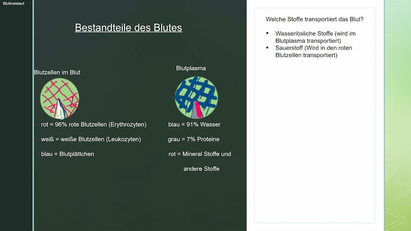Biologie:
Blutkreislauf ■
Gliederung:
Blutkreislauf:
Bestandteile des Blutes
> Welche Stoffe transportiert das Blut
Blutkreislauf
Stoffausta