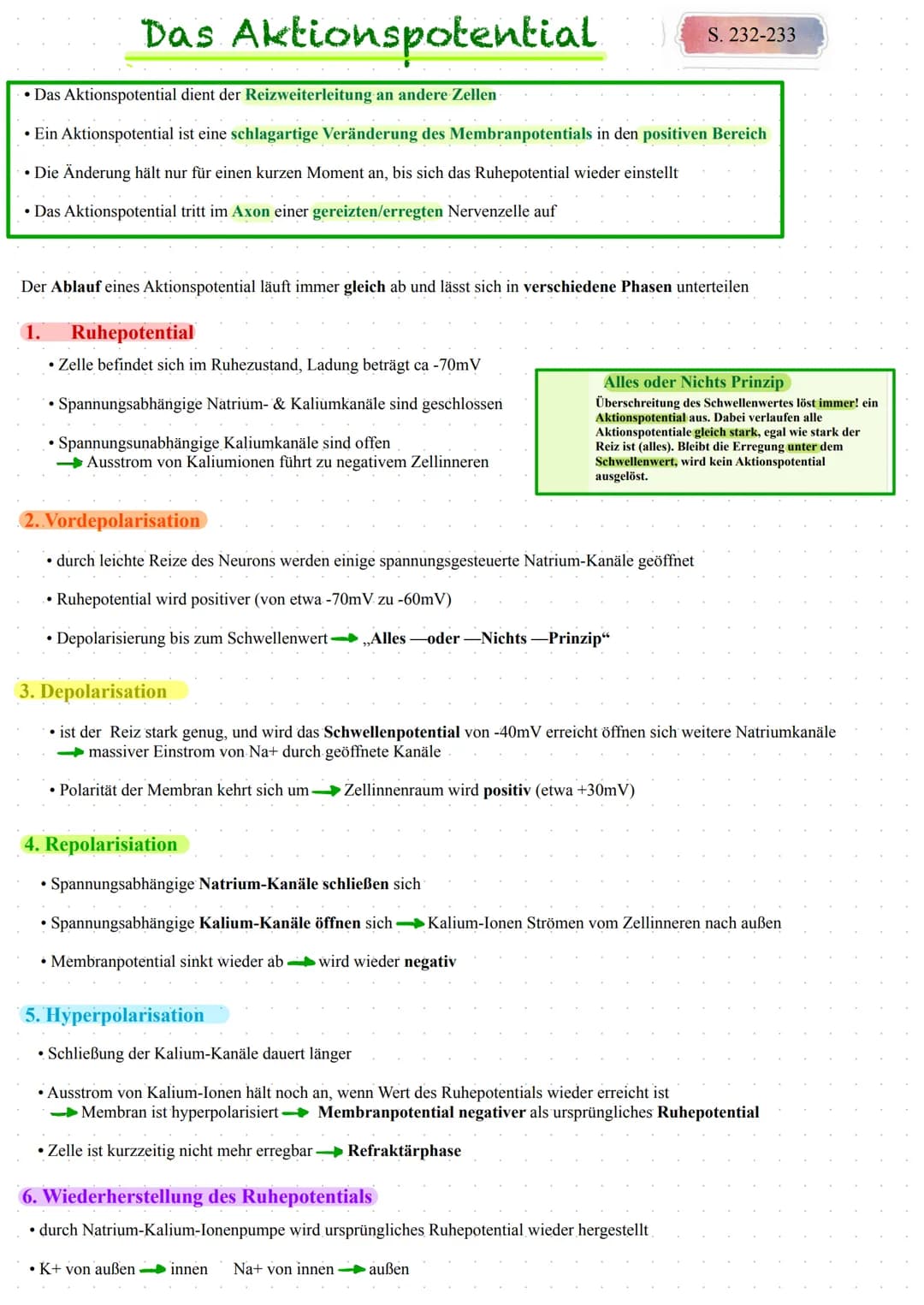 Das Ruhepotential
Das Ruhepotential bezeichnet das Membranpotential einer erregbaren Zelle im
Ruhestand, die Spannung (Potential differenz) 
