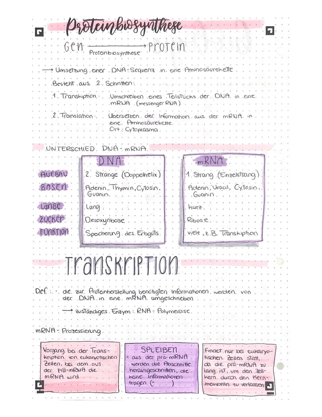 biologic lernteter •
L
AUFBAU DER DNA
Phosphatgruppe
5
3
Komplementäre.
Basen.
Adenin -
Thymin
Guanin Cytosin
Gen
Wasserstoffbrücken
wan
www