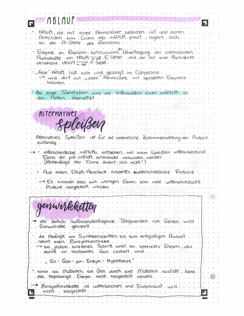 biologic lernteter •
L
AUFBAU DER DNA
Phosphatgruppe
5
3
Komplementäre.
Basen.
Adenin -
Thymin
Guanin Cytosin
Gen
Wasserstoffbrücken
wan
www