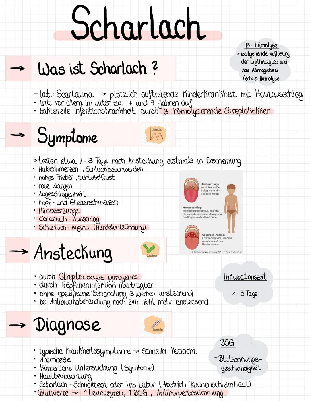 # Scharlach

← Was ist Scharlach ?

B-Hämolyse
- weitgehende Auflösung
der Erythrozyten und
des Hämoglobins
(echte Hämolyse

=lat. Scarlatin