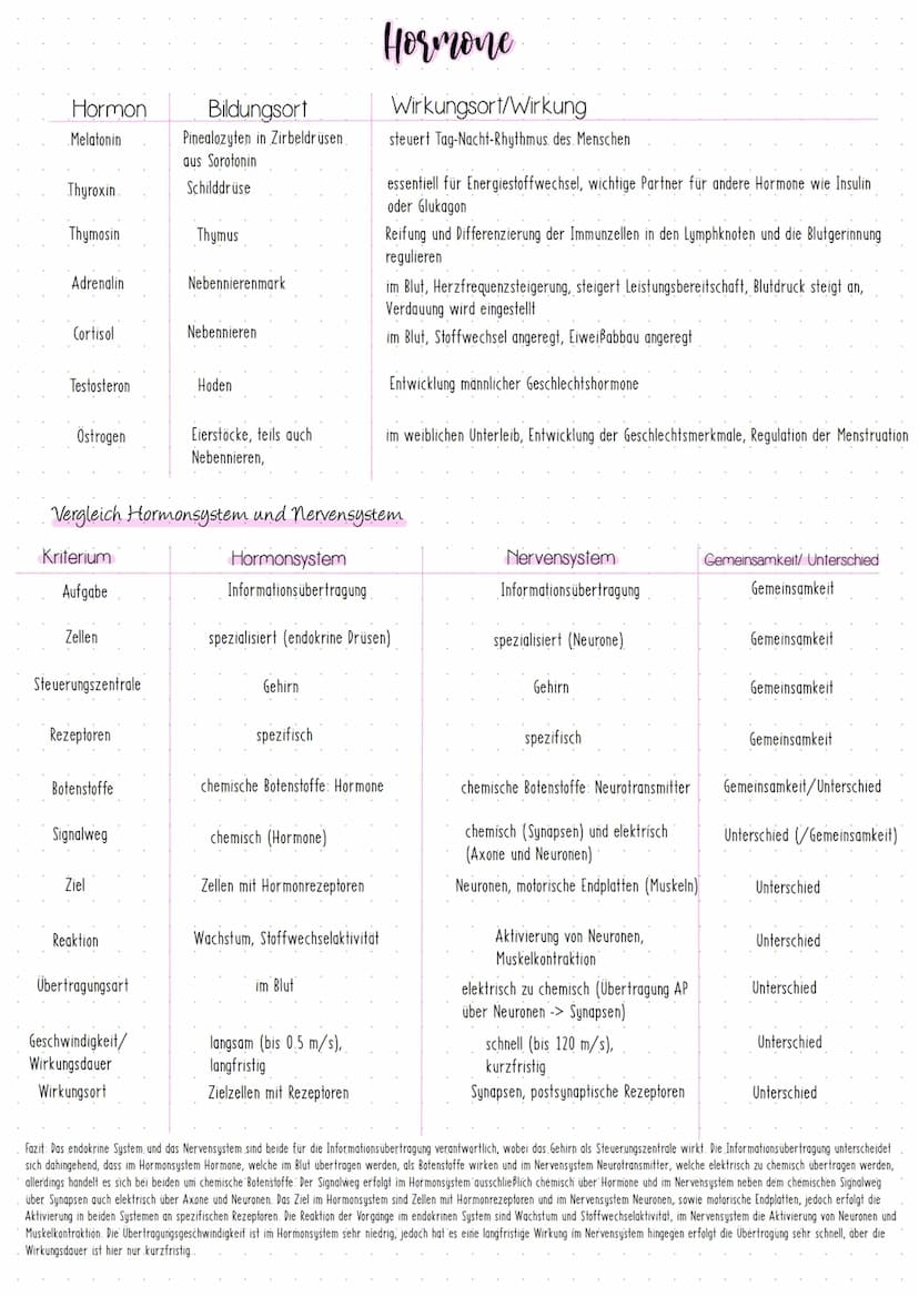 Neurobiologic
Vom. Reiz zur Reaktion Prozesse der Informationsverarbeitung erklaren
GRUNDLAGEN
- Nerven- & Sinneszellen als Grundelemente vo