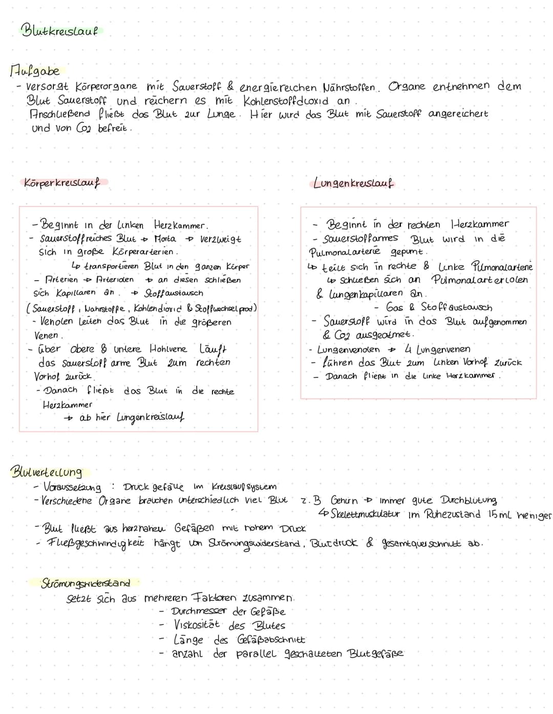 Herz kreislauf Herz
V. cava superior
A. pulmonalis dextra
Vv pulmonales dextrae-
Valva pulmonalis
Atrium dextrum
Valva tricuspidalis
Ventric