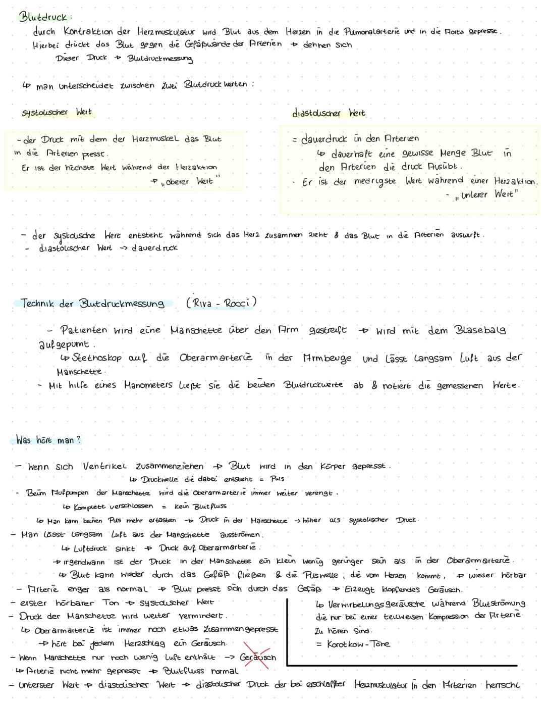 Herz kreislauf Herz
V. cava superior
A. pulmonalis dextra
Vv pulmonales dextrae-
Valva pulmonalis
Atrium dextrum
Valva tricuspidalis
Ventric