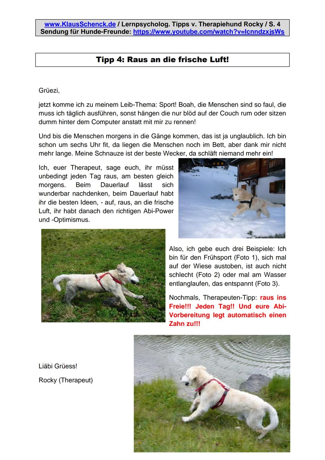 www.KlausSchenck.de/ Lernpsycholog. Tipps v. Therapiehund Rocky / S. 1
Sendung für Hunde-Freunde: https://www.youtube.com/watch?v=lcnndzxjsW