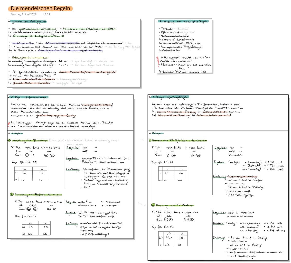 # Die mendelschen Regeln
Montag, 7. Juni 2021 16:22

•genetischer Hintergrund

bei geschlechtlichen Vermehrung hambinieren von Erbanlagen de