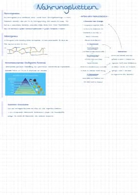 Know Nahrungsketten /-netze /-pyramiden thumbnail