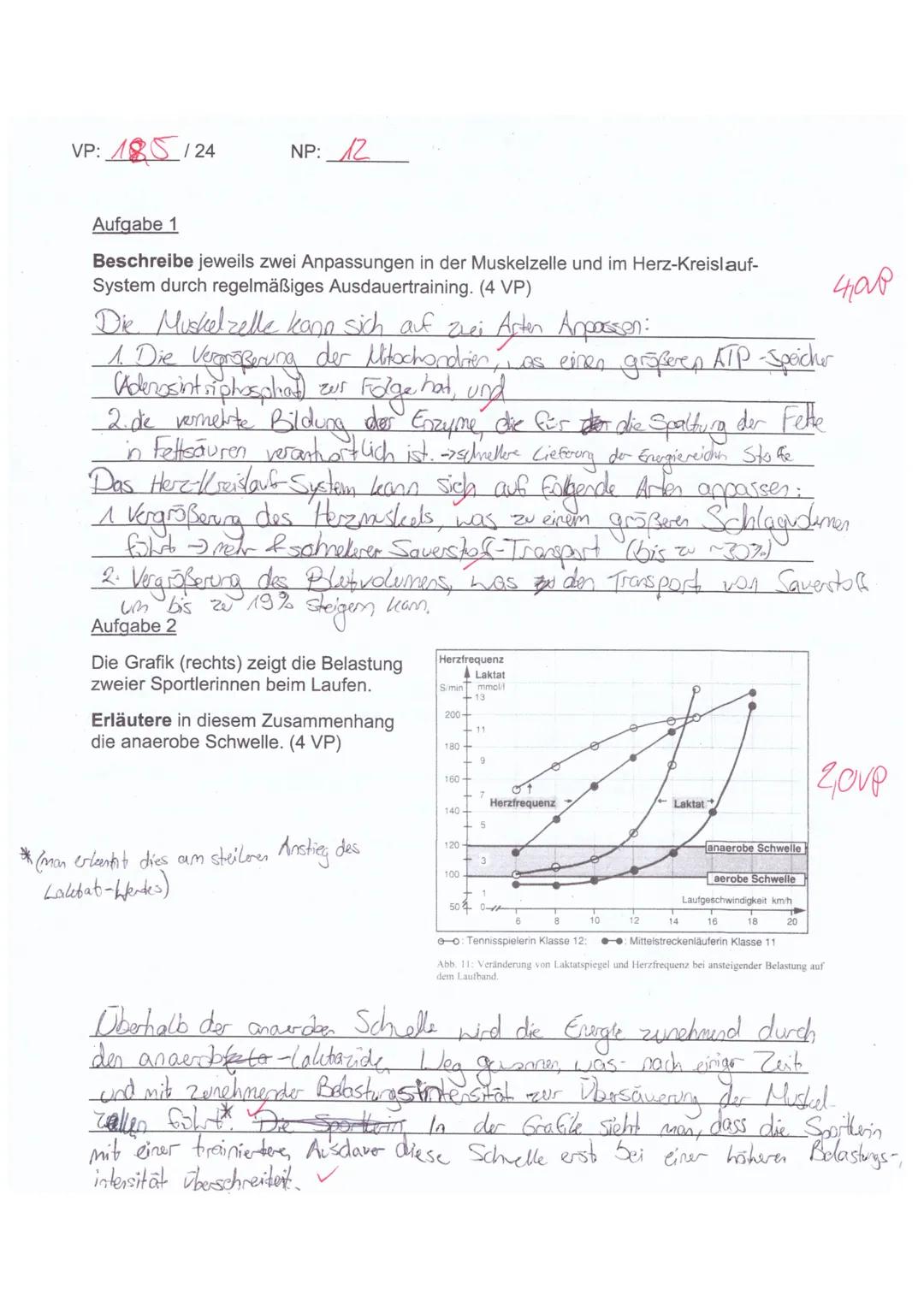 VP: 185/24
NP: 12

Aufgabe 1
Beschreibe jeweils zwei Anpassungen in der Muskelzelle und im Herz-Kreislauf-
System durch regelmäßiges Ausdaue