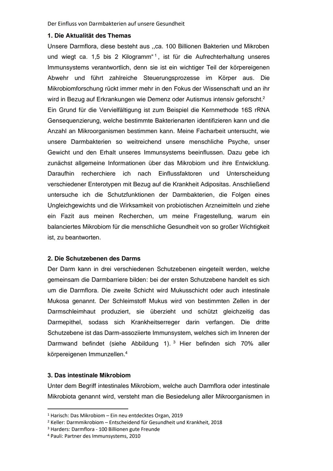 SEMINARFACH
IMMUNBIOLOGIE
Schuljahr 2020/2021
FACHARBEIT ZUM THEMA
DER EINFLUSS VON DARMBAKTERIEN AUF UNSERE GESUNDHEIT
Abgabetermin der Arb
