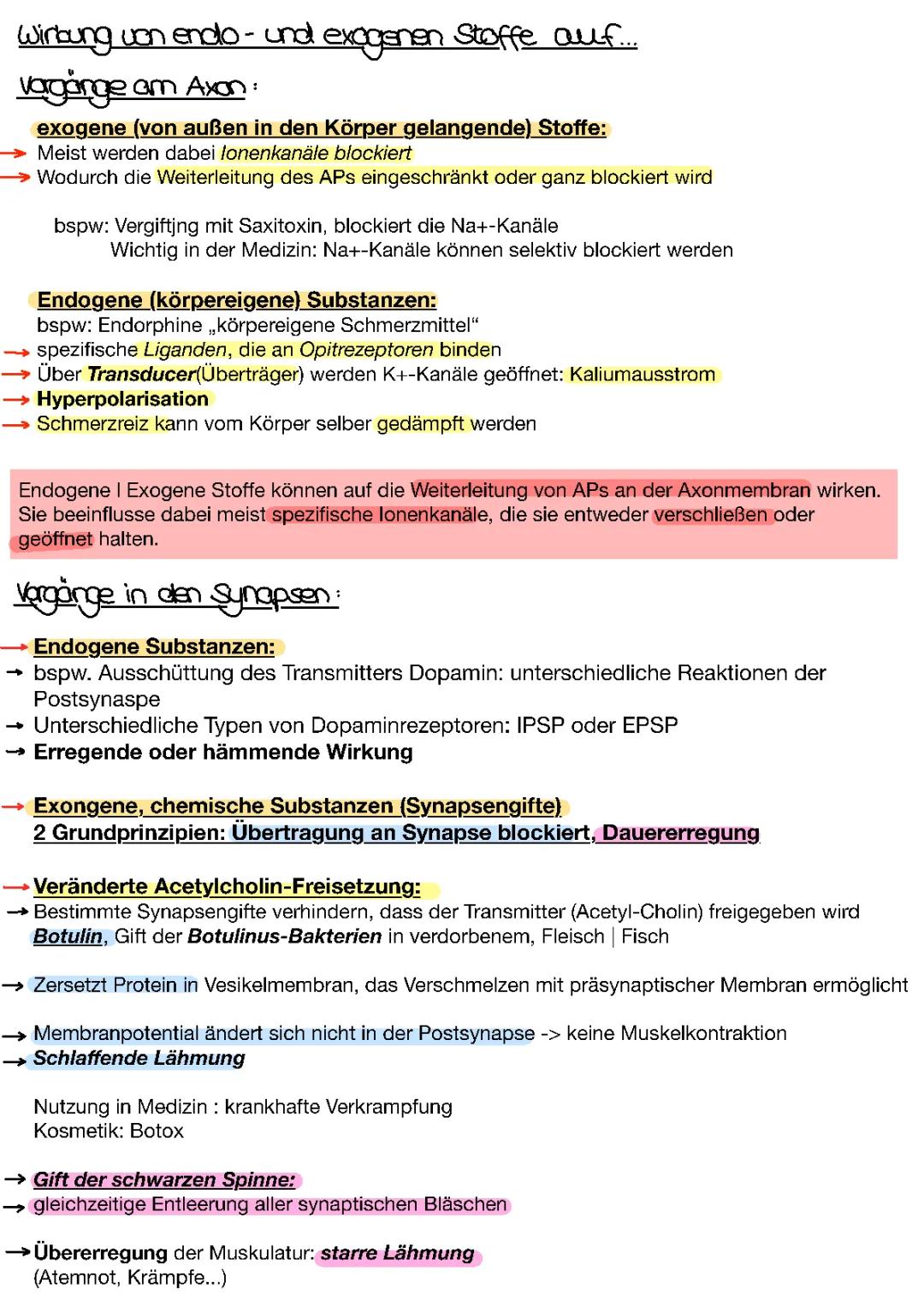 Alles über Endogene und Exogene Stoffe, Synapsengifte und ihre Wirkungen